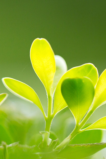 諾上產(chǎn)品中心